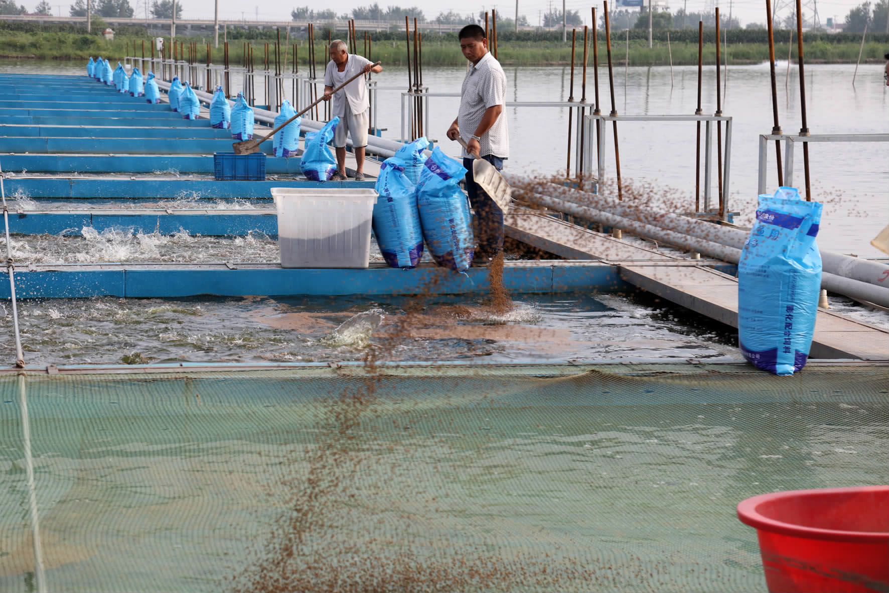 綠色引擎驅(qū)動(dòng)產(chǎn)業(yè)升級(jí)——市農(nóng)辦主任、農(nóng)業(yè)農(nóng)村局局長(zhǎng)楊中校赴德清調(diào)研水產(chǎn)養(yǎng)殖業(yè)綠色發(fā)展