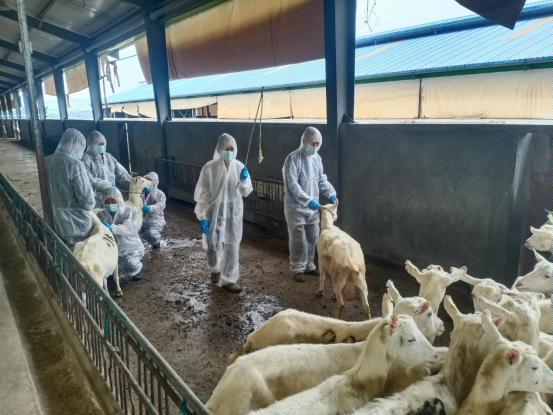 千陽(yáng)縣畜產(chǎn)局再獲省級(jí)榮譽(yù)，產(chǎn)業(yè)興旺助力鄉(xiāng)村振興